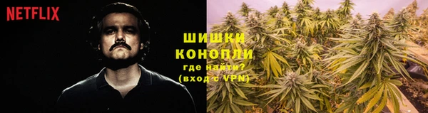 соль ск Арсеньев
